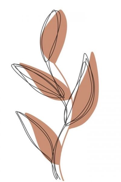 5 5